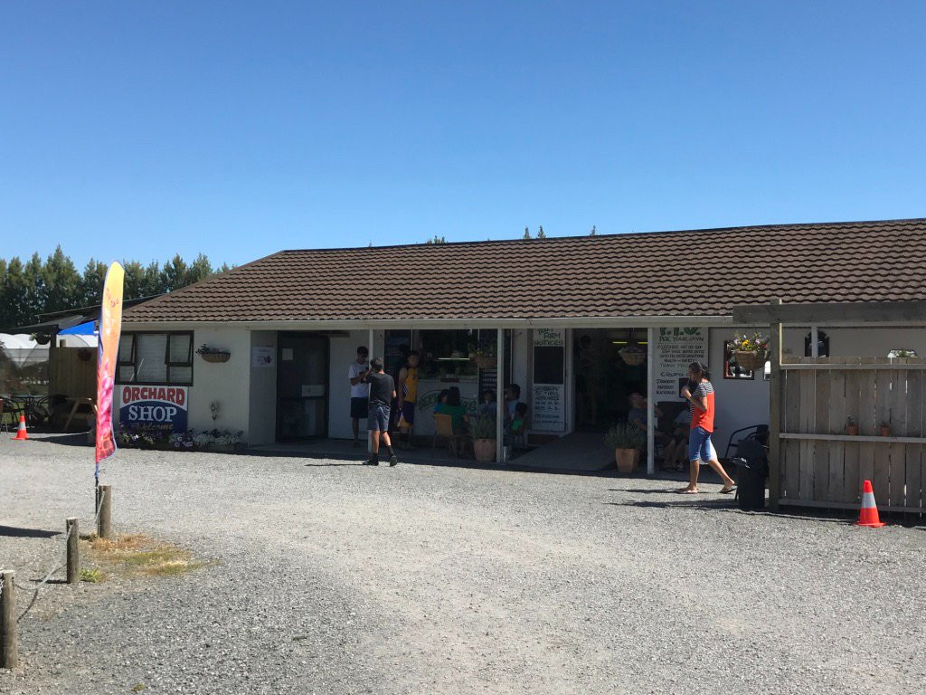 Ye Olde Berry Farm-汉密尔顿必去景点