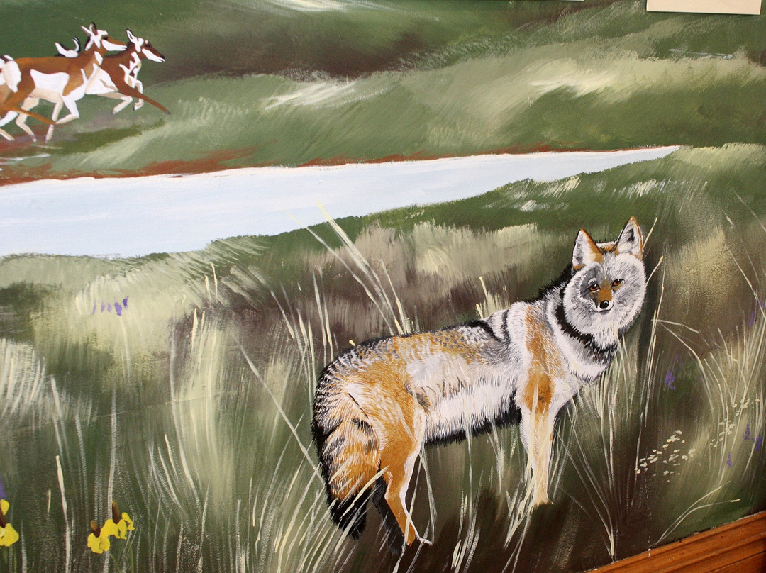 Dacotah Prairie Museum-Aberdeen必去景点