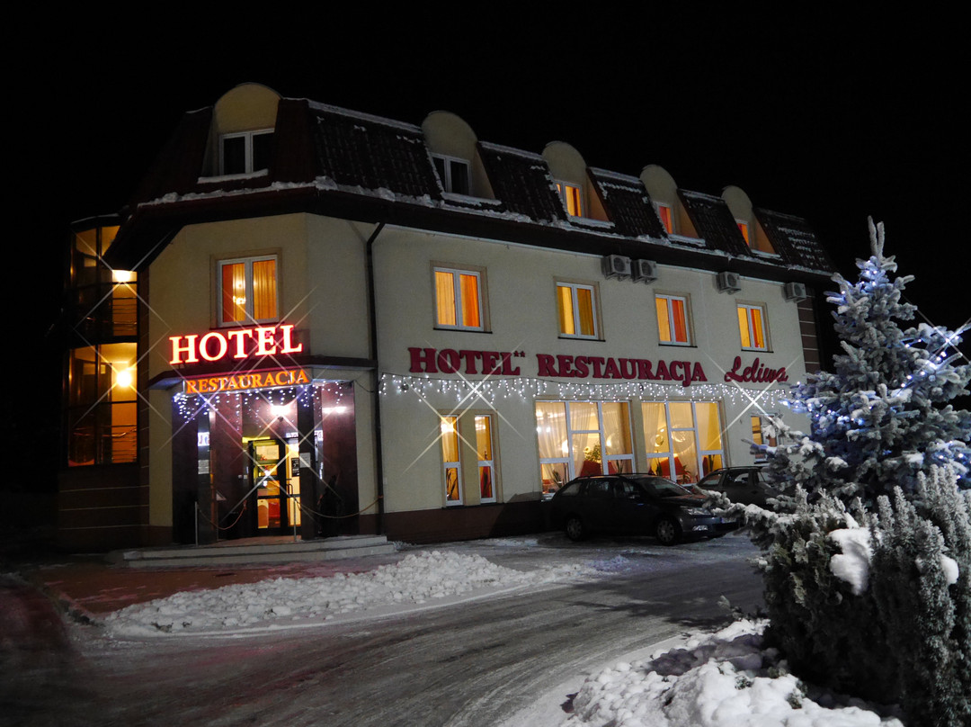Lezajsk酒店住宿-Hotel Restauracja Leliwa