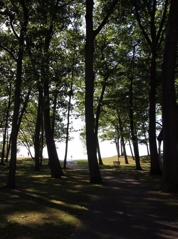 Centennial Park-科尔本港必去景点