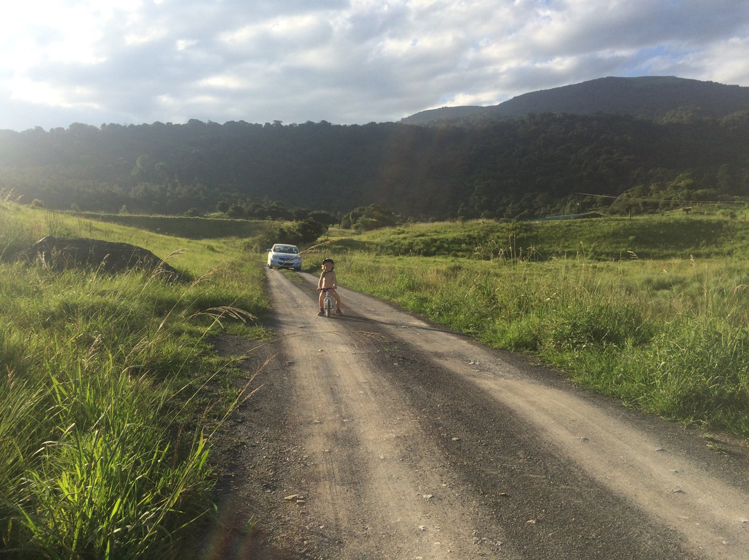Bushwillow Caravan Park