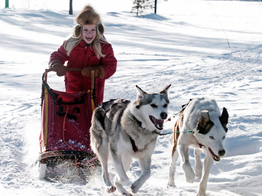 Active Lapland-基律纳必去景点