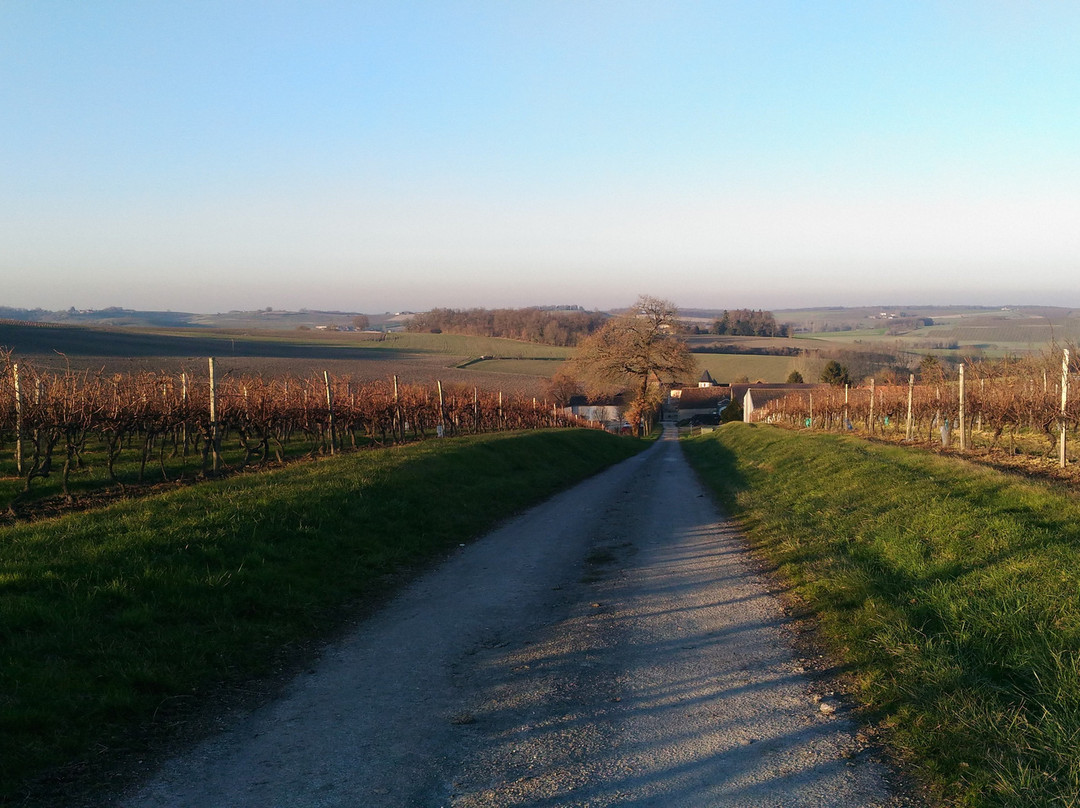 Domaine Maine Giraud / Alfred de Vigny-Champagne-Vigny必去景点
