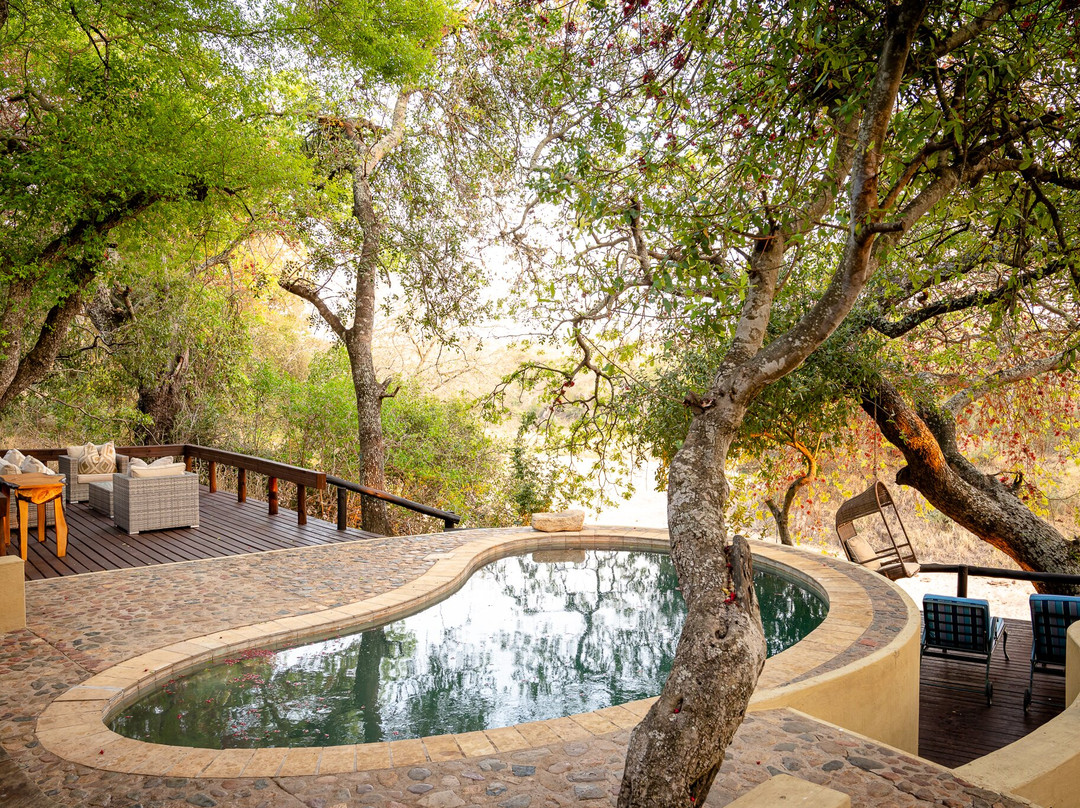 Acornhoek酒店住宿-Shimungwe Lodge