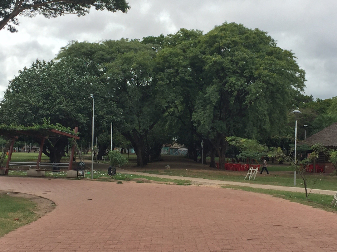 Parque Urbano Central-圣克鲁斯省必去景点