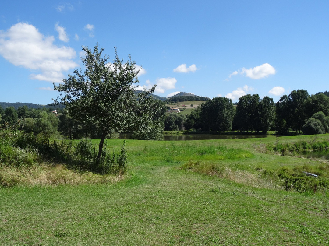 Les Etangs du Bord de Loire景点图片