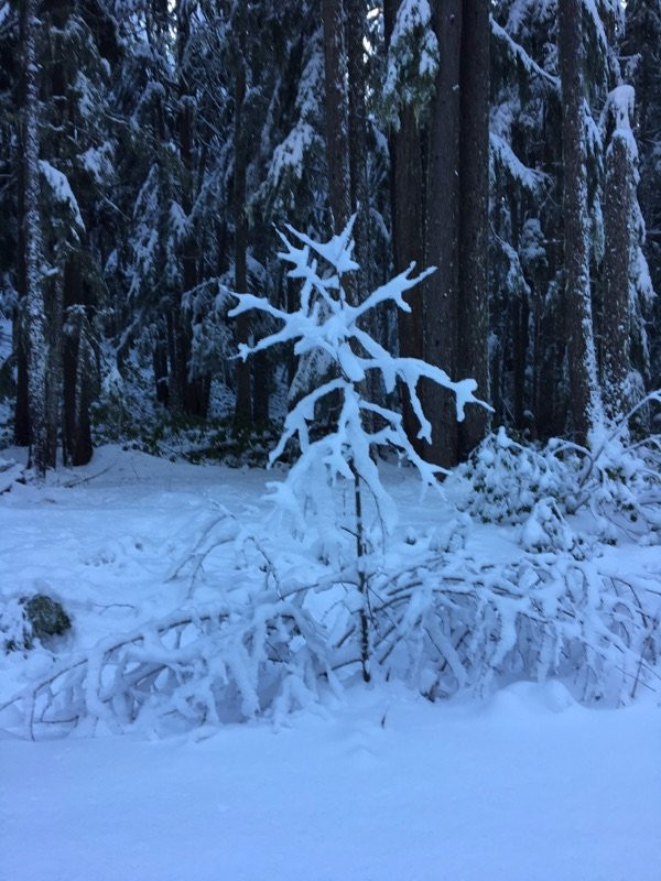 Willamette Pass Resort-Crescent必去景点