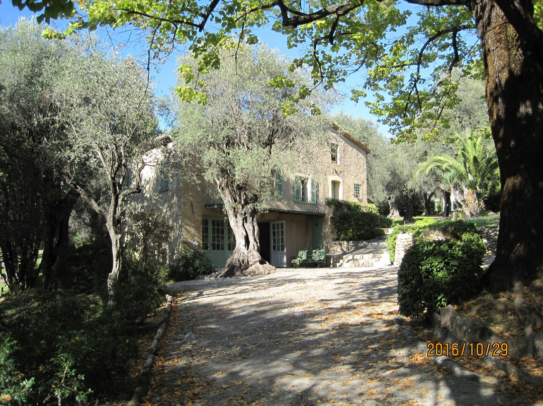 Musee Renoir/Les Collettes景点图片