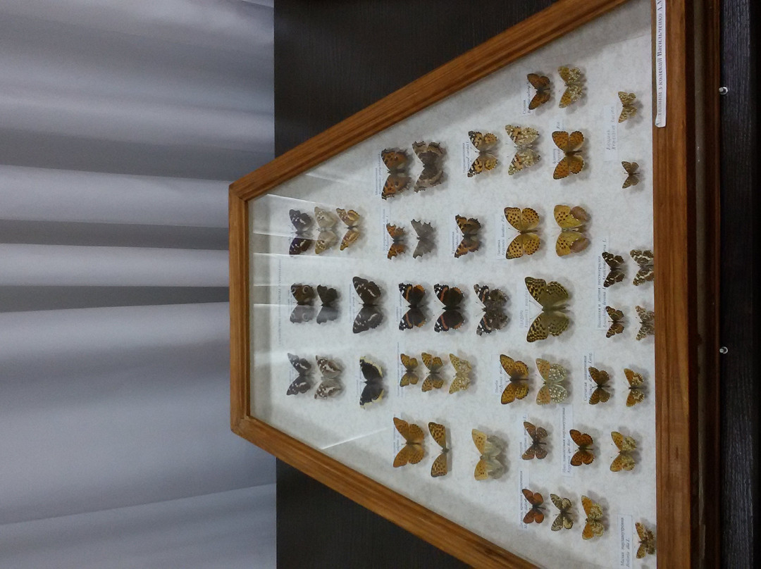 Zhytomyr Nature Museum-Zhytomyr必去景点