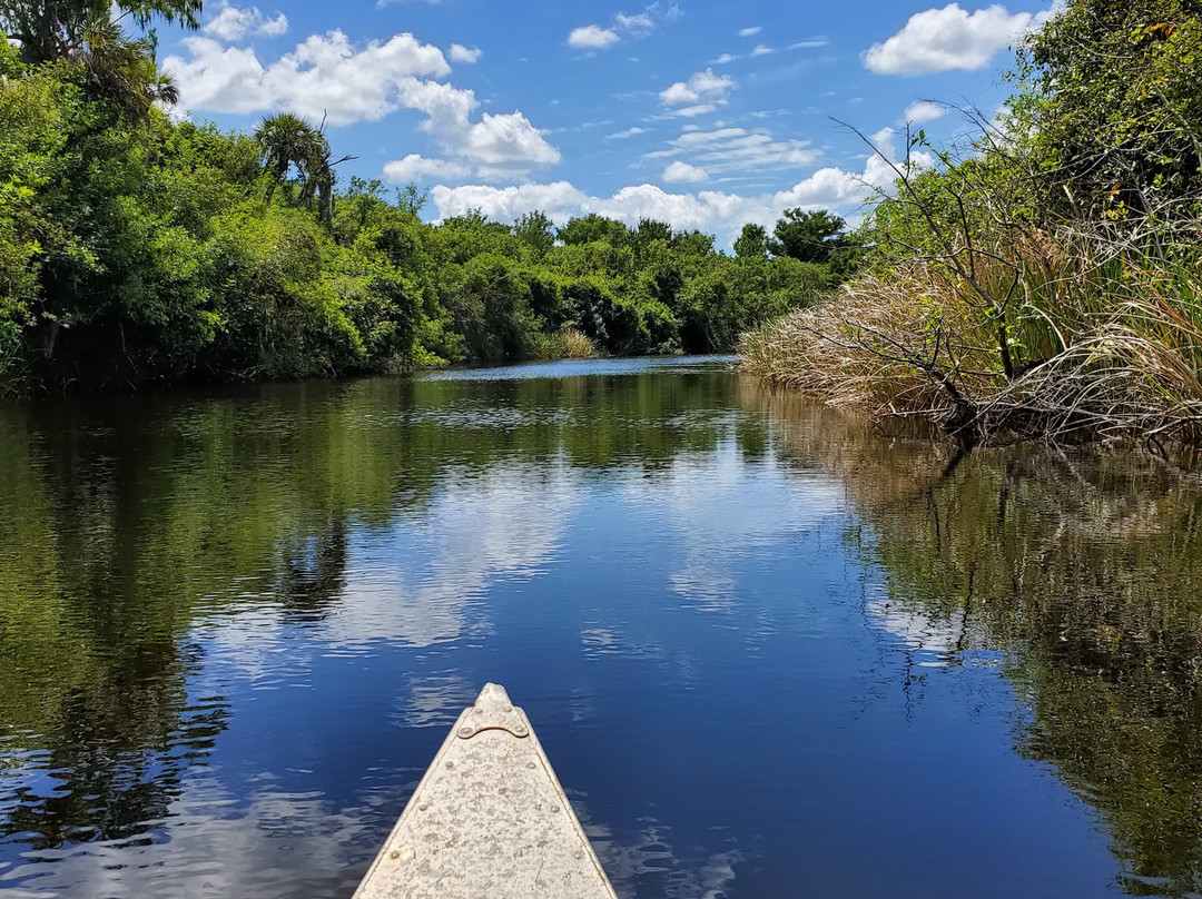 Turner River Paddling Trail-奥乔皮必去景点