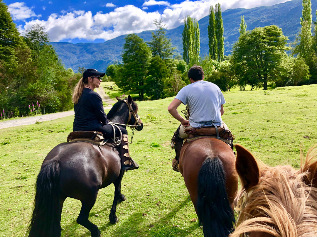 Ecoturismo la Pancha-Puerto Aisen必去景点