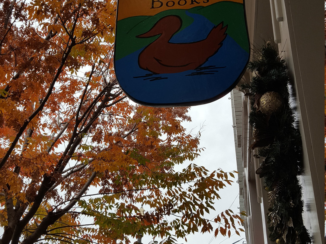 Duck River Books-哥伦比亚必去景点