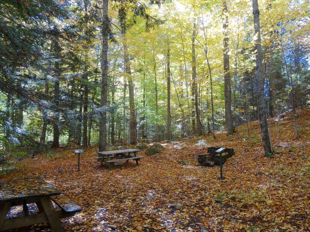 Gifford Woods State Park-基灵顿必去景点