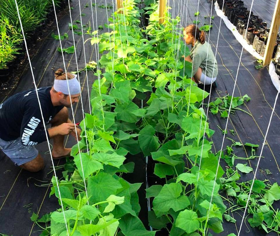 Ground Floor Farm-斯图尔特必去景点