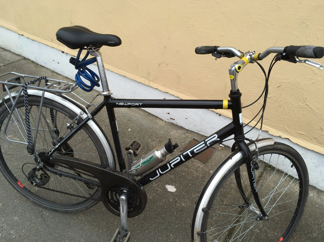 Paddy's Bike Shop - Bike Rental-丁格尔必去景点