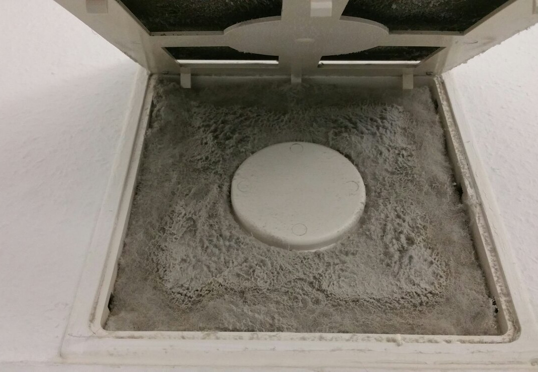 Lindenhotel Stralsund主图