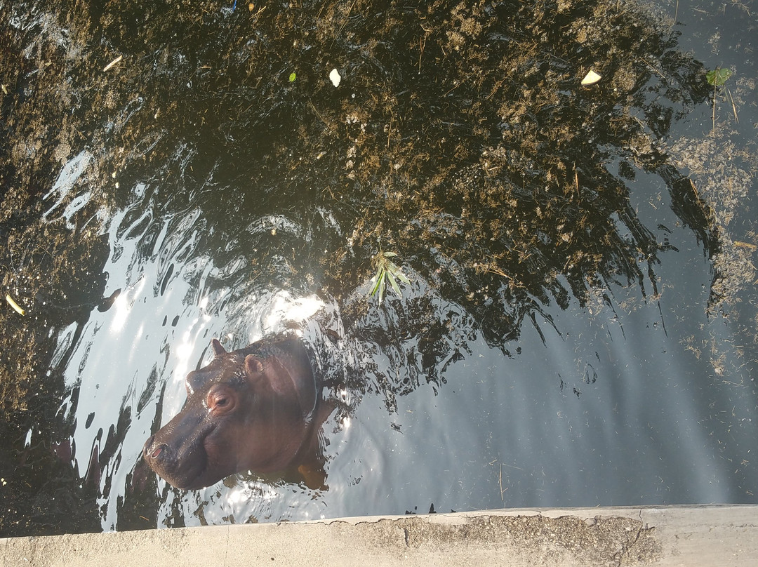 烟台大南山-烟台市必去景点