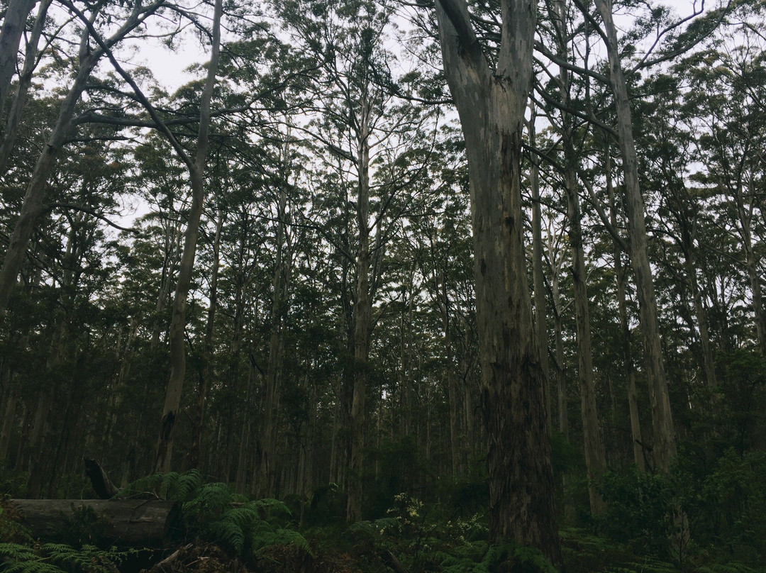 Margaret River Nature Tours-玛格丽特河必去景点