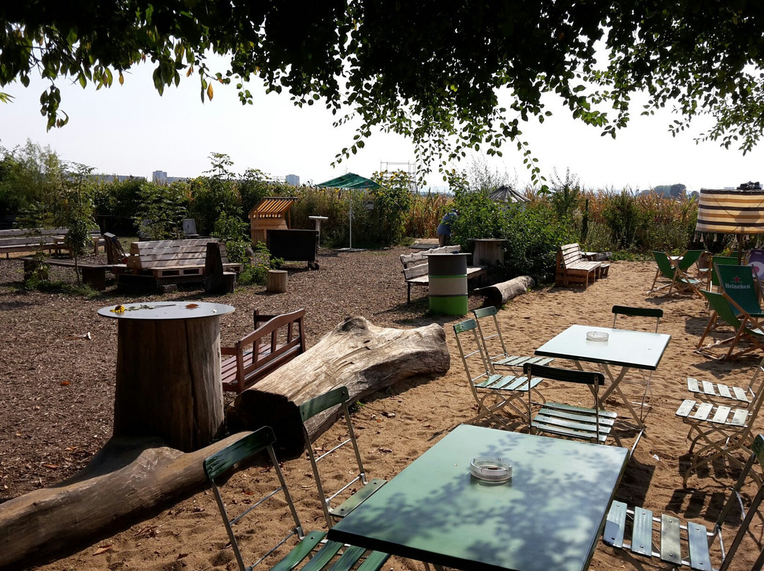 Herbsleben旅游景点-Maislabyrinth Erfurt