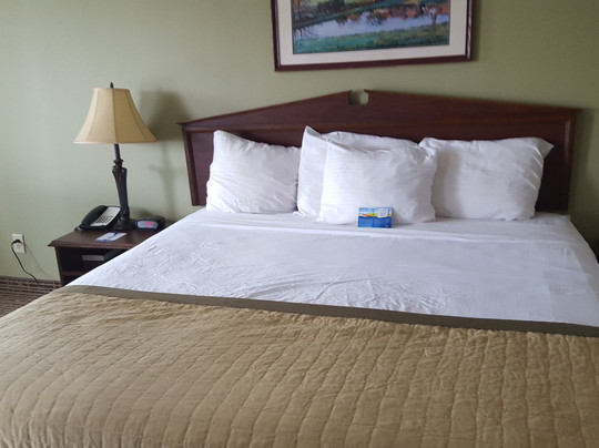 Baymont by Wyndham Greenville