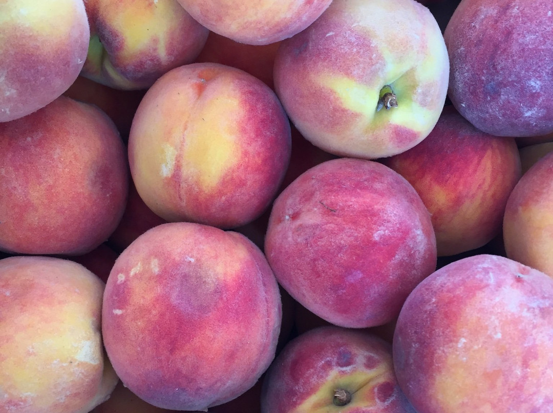 Cerrillos Station-Cerrillos必去景点