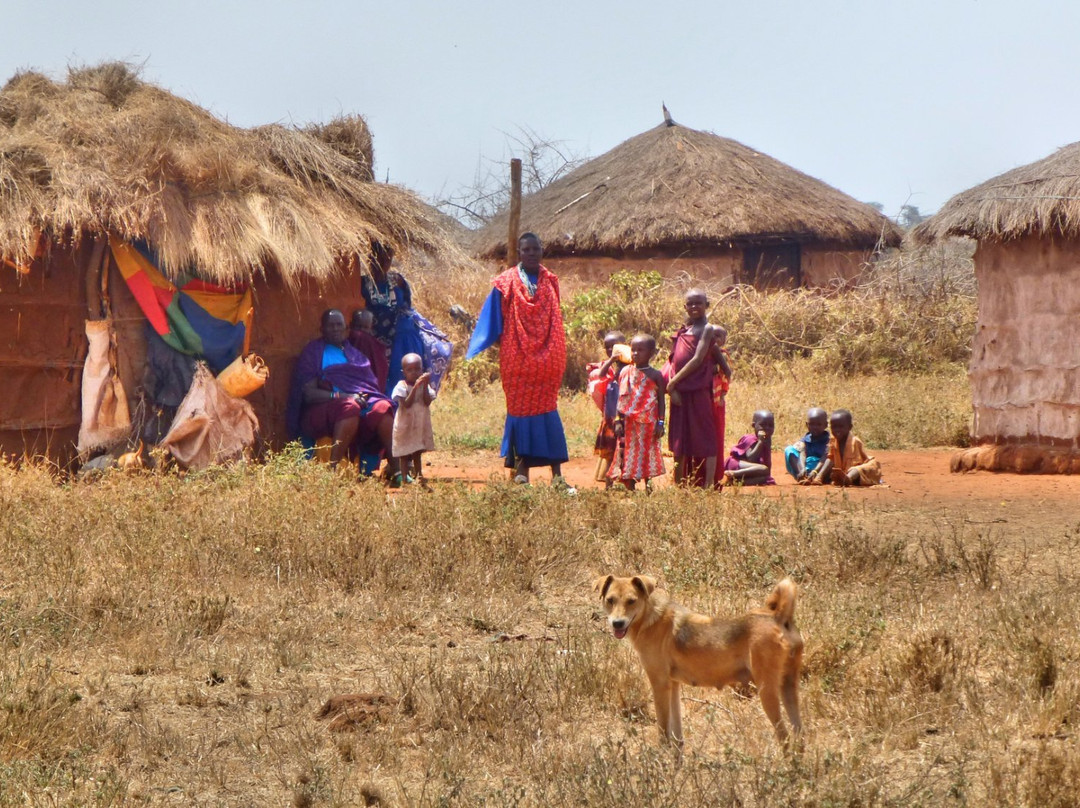 Maishafrika Adventures景点图片