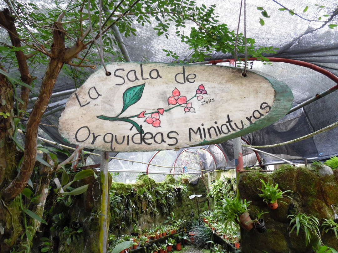 Aprovaca (The Orchid Nursery & Conservation Center)景点图片