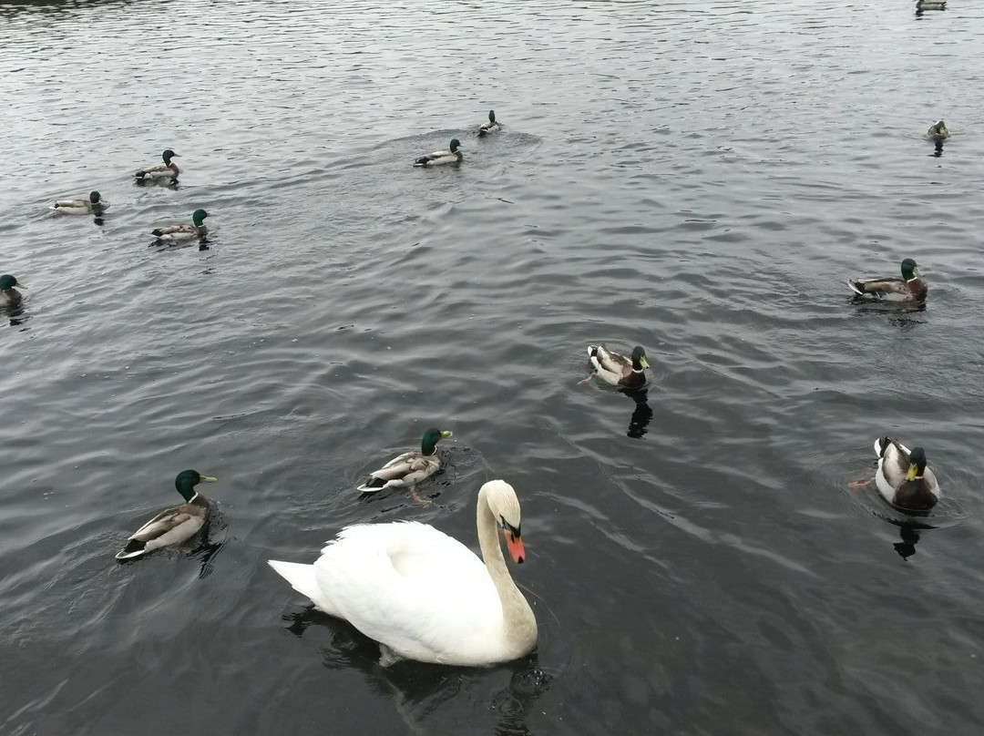 Callander Visitor Information Cantre-卡兰德必去景点