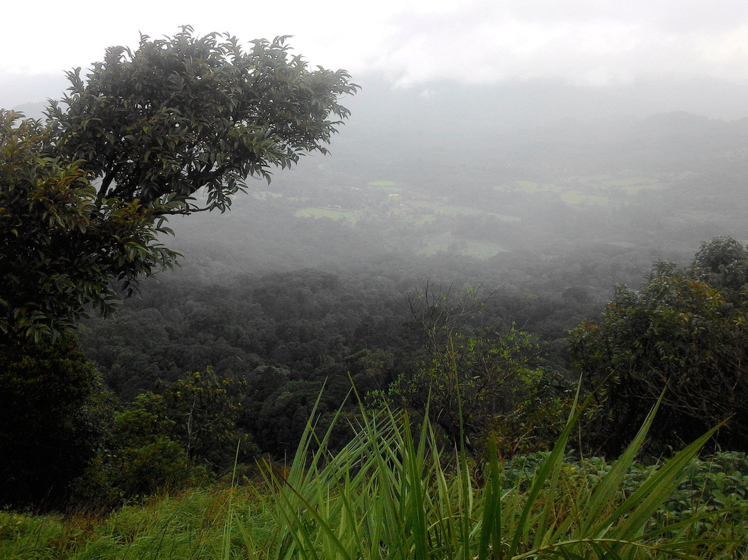 Kudajadri Hills-Shimoga必去景点