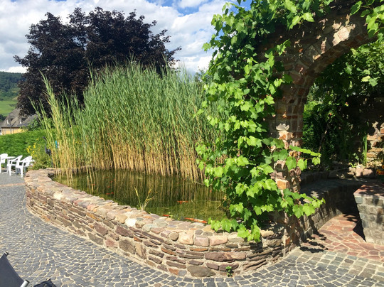 Maring-Noviand酒店住宿-Pension Elfi