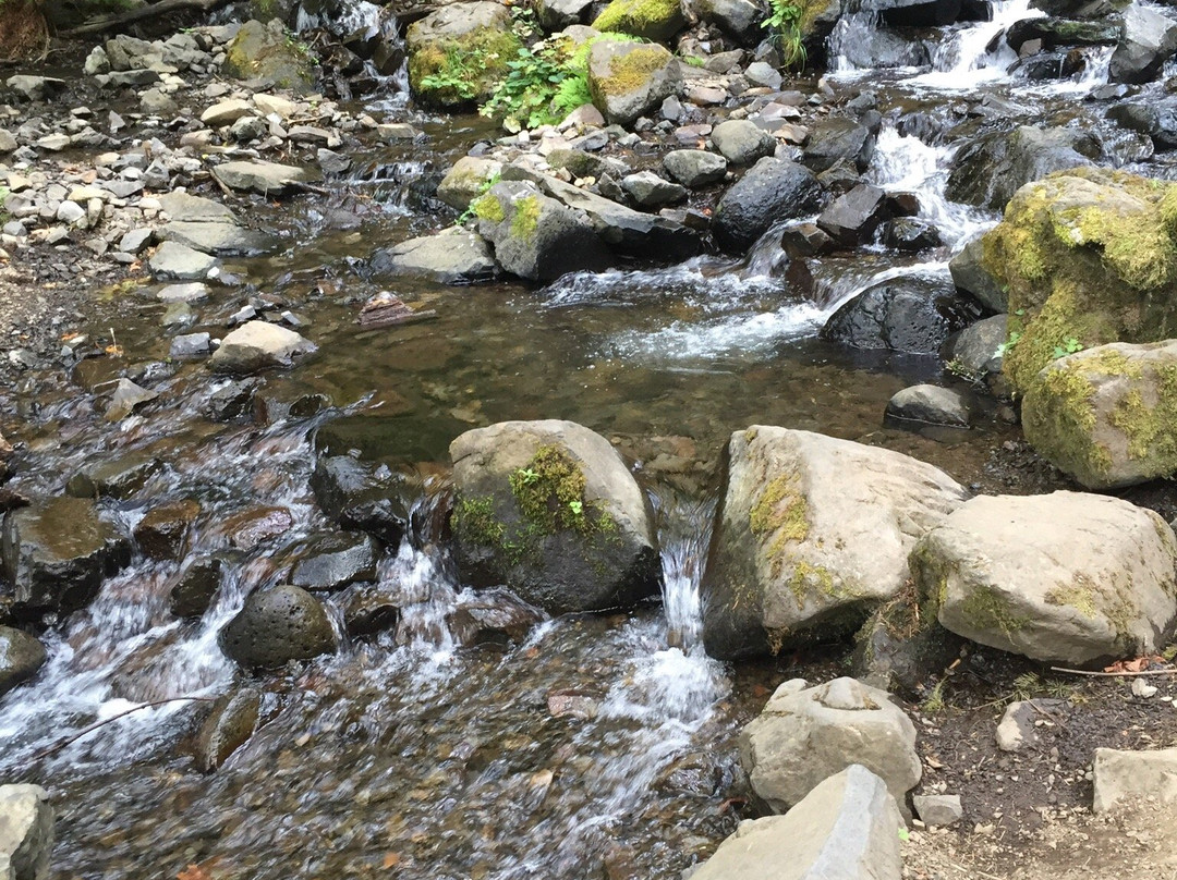 Starvation Creek Ridge Loop-Cascade Locks必去景点