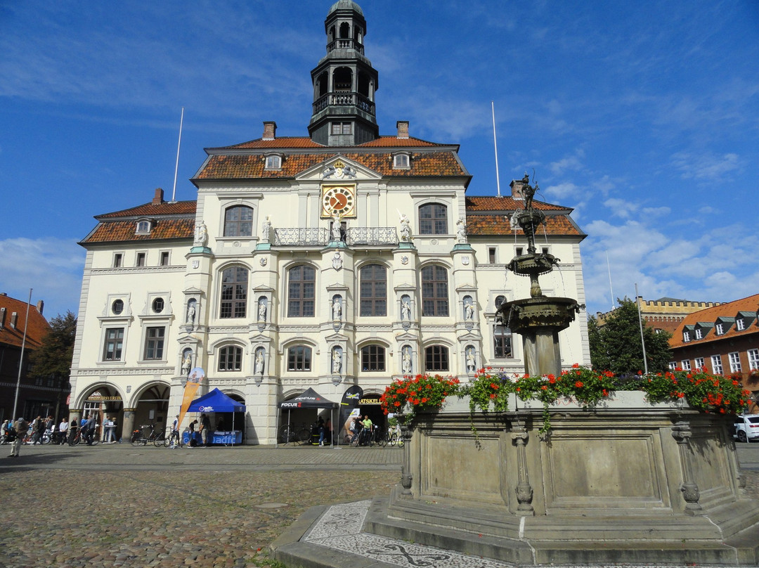 Historisches Lueneburger Rathaus景点图片