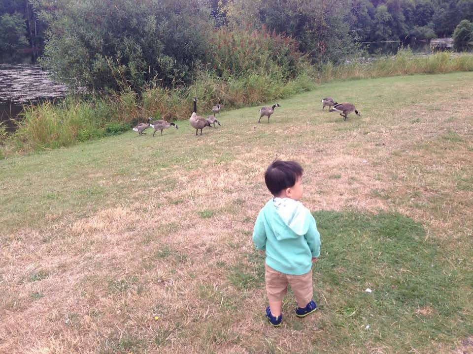 Bradley Lake Park景点图片