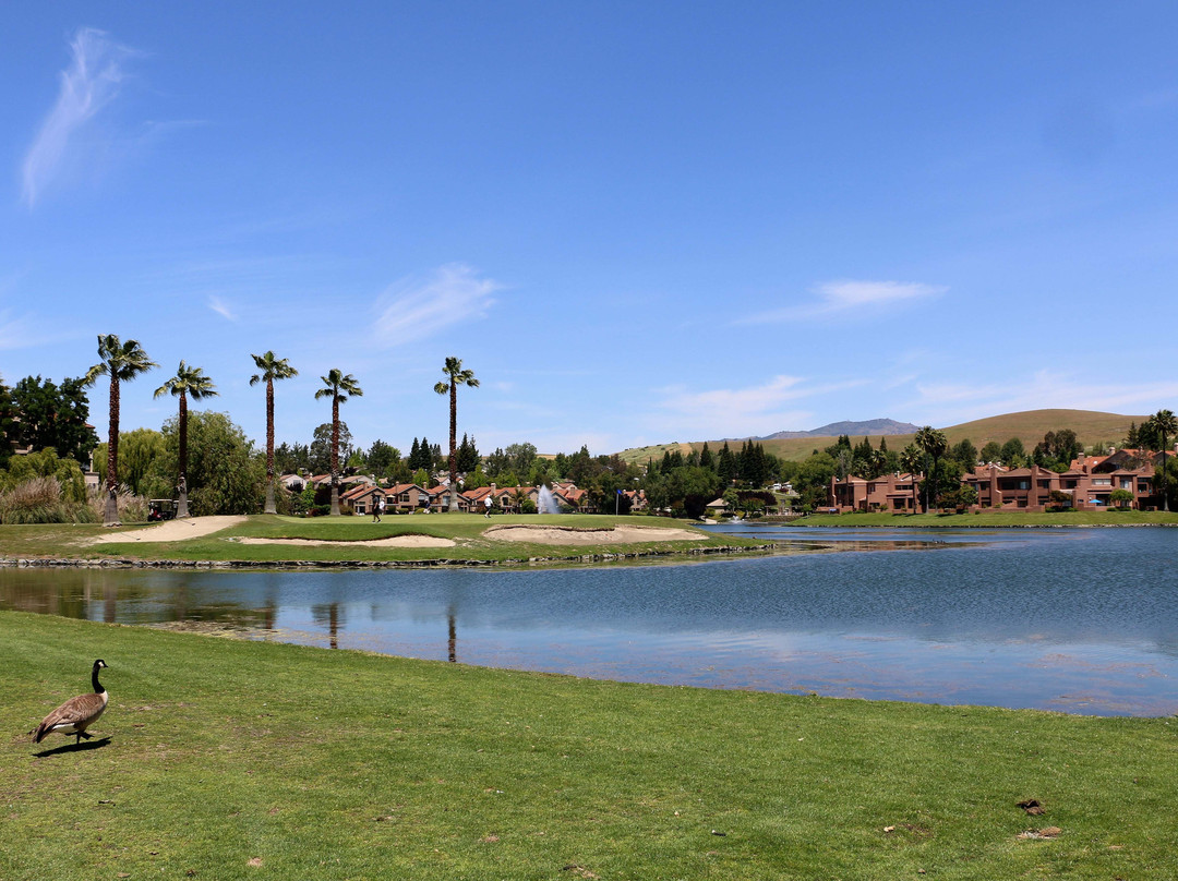 Canyon Lakes Golf Course & Brewery-圣拉蒙必去景点