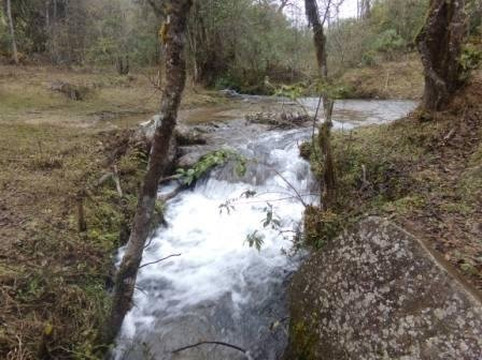 Reserva Nacional El Nogalar de Los Toldos-Los Toldos必去景点