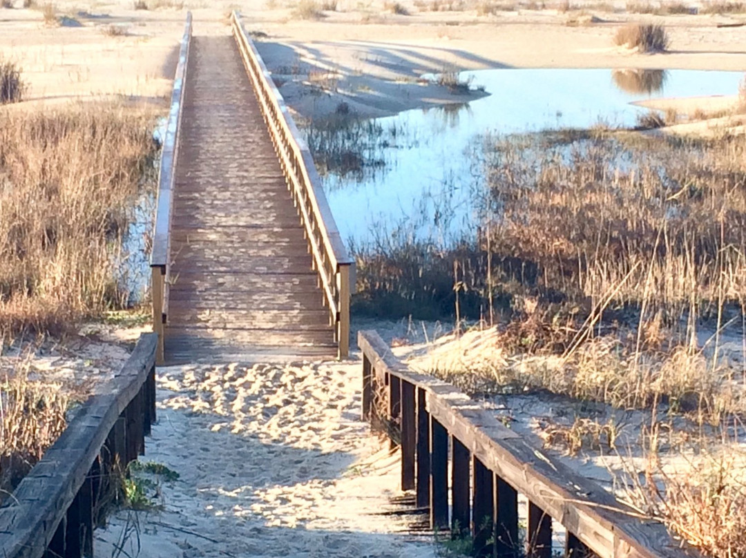Inn at Dauphin Island
