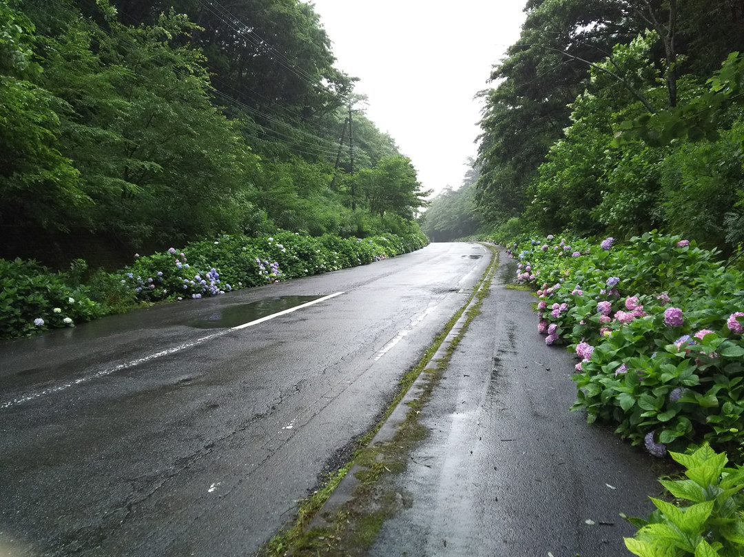 Ajisai Road景点图片