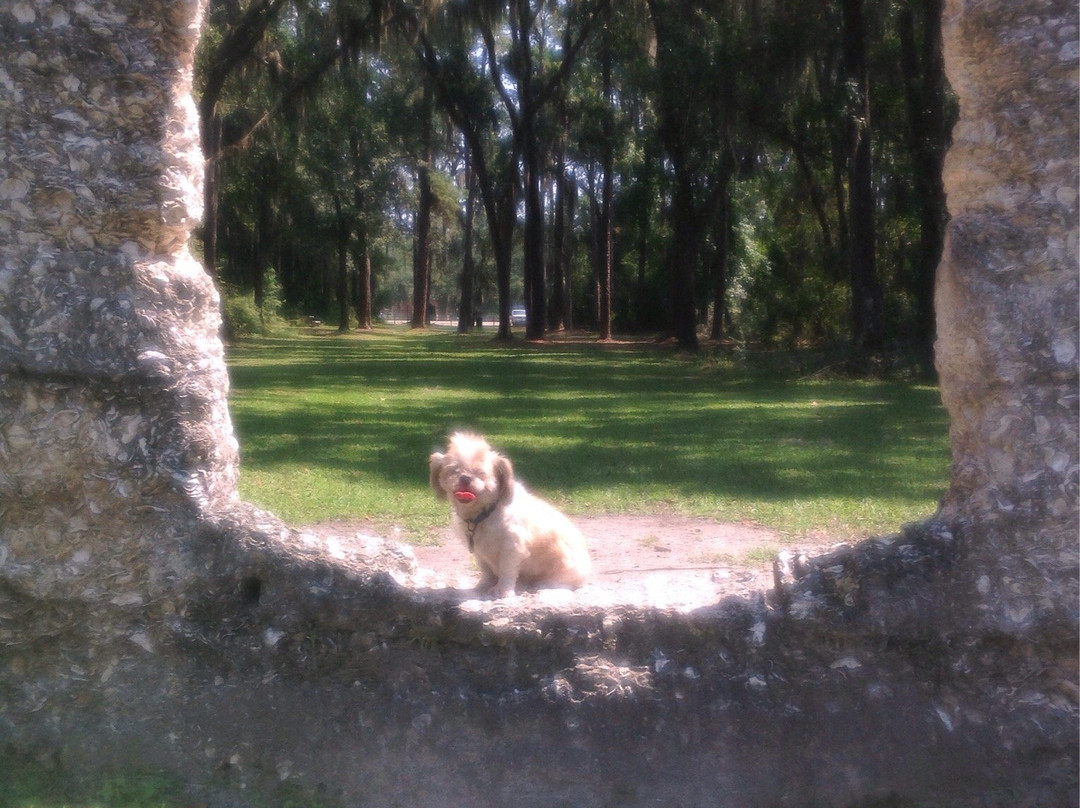 McIntosh Sugarworks - Tabby Ruins-St. Marys必去景点