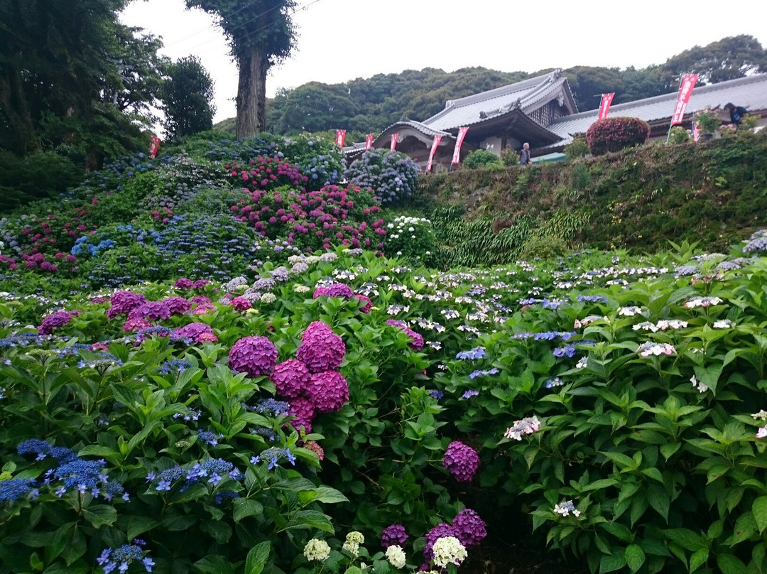 Mt. Sugitake Fudoson Daishoji Temple-武雄市必去景点