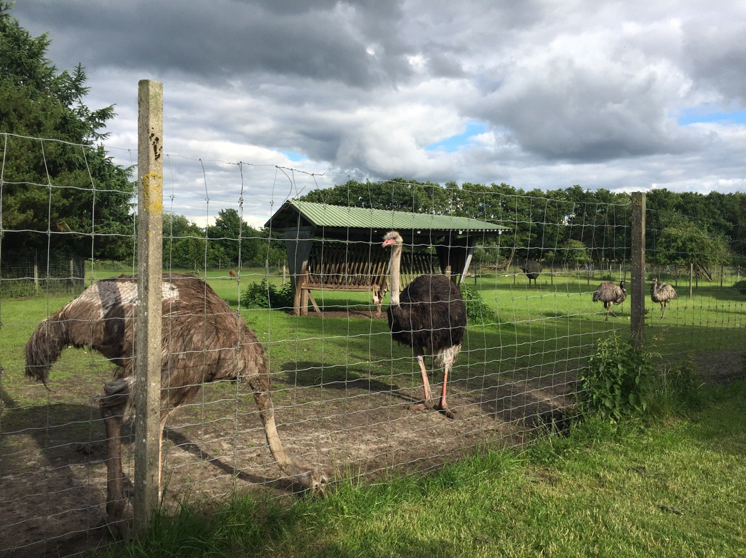 比隆农场假日主图