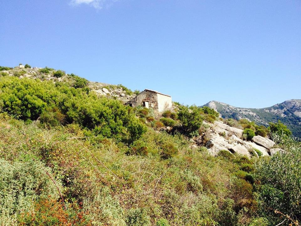 A Piedi Nel Parco景点图片