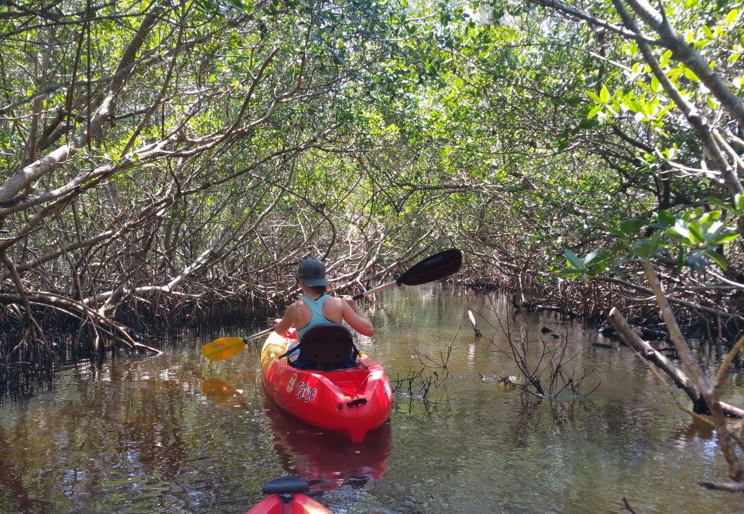 Kayak Jacks Paddlesports-布雷登顿必去景点