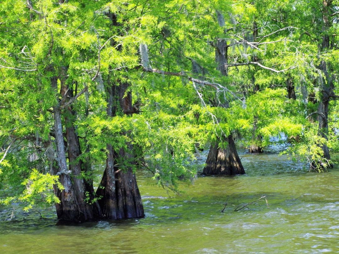 Santee旅游攻略图片