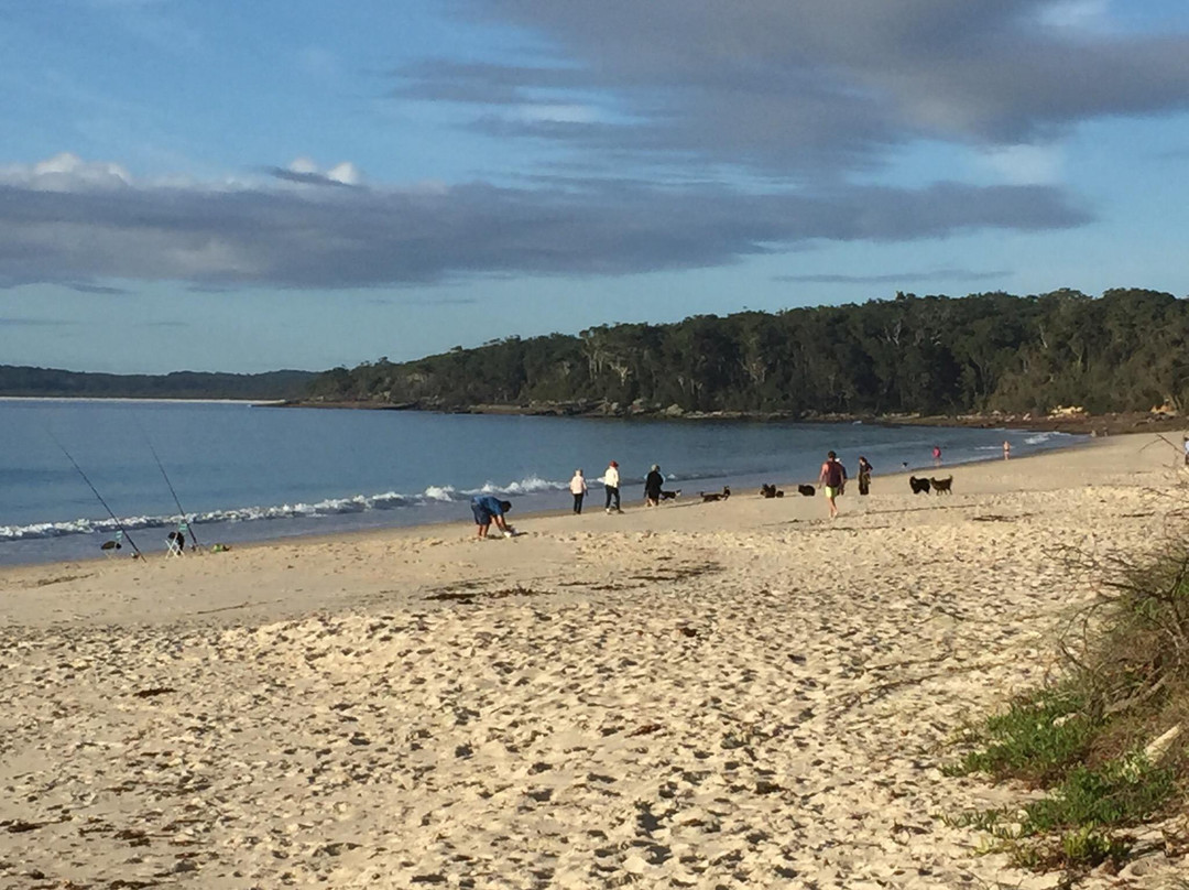 Nelson Beach景点图片
