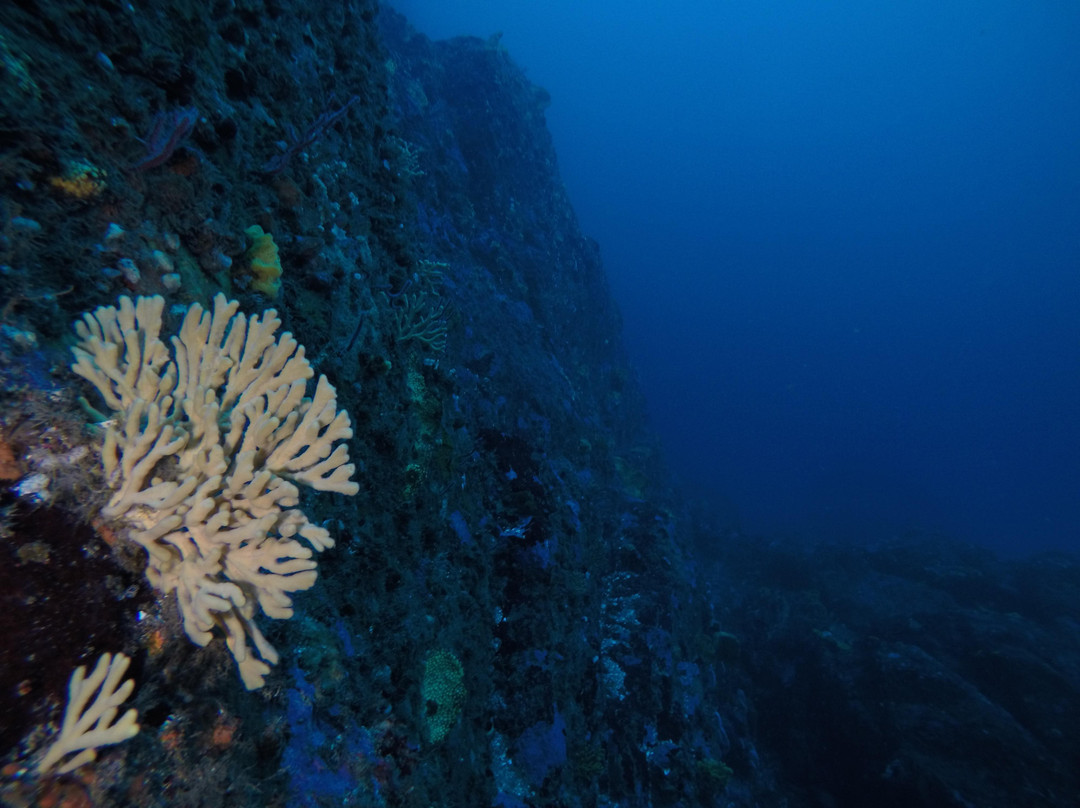 ODC Buceo-Pichidangui必去景点