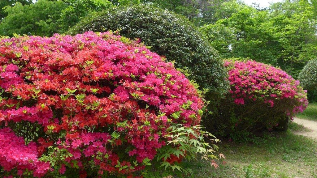 Poseokjeong Pavilion-庆州市必去景点
