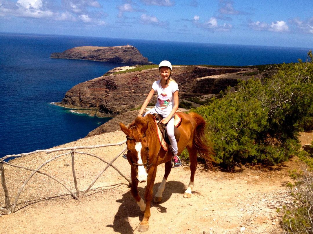 Centro Hípico do Porto Santo