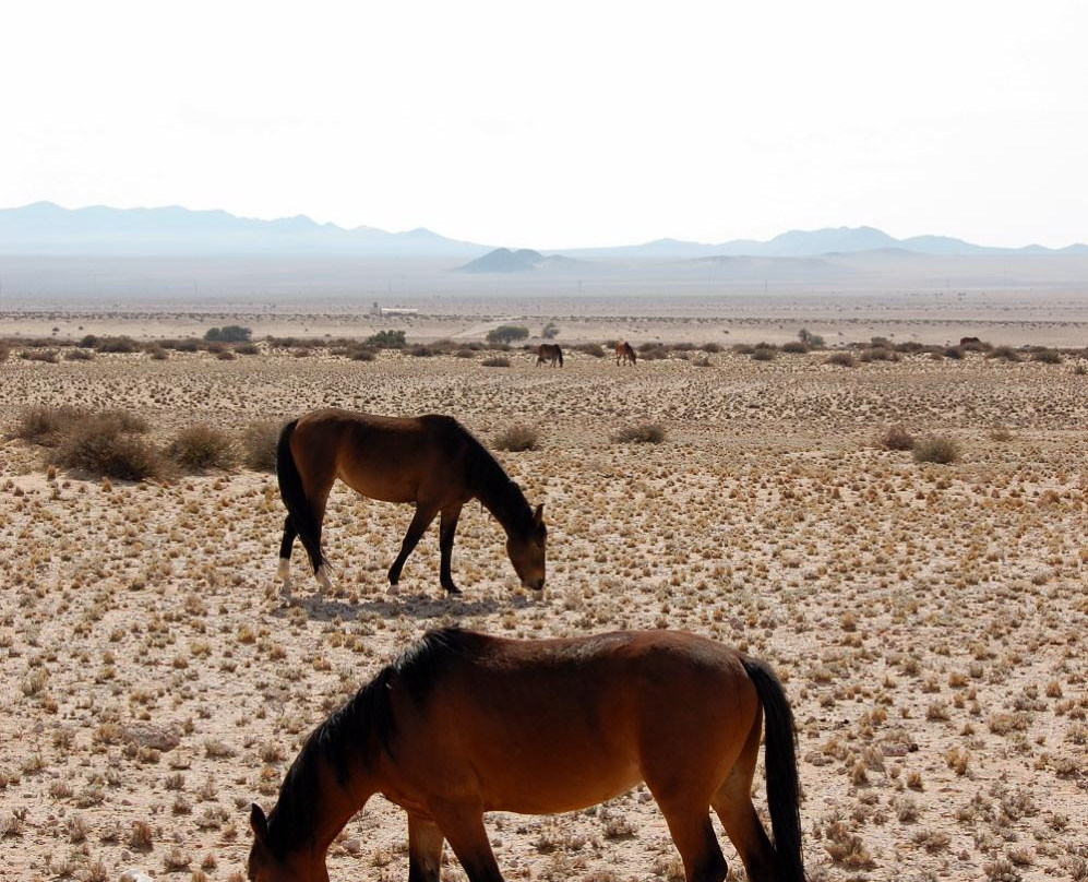 Duwisib Castle-Hardap必去景点