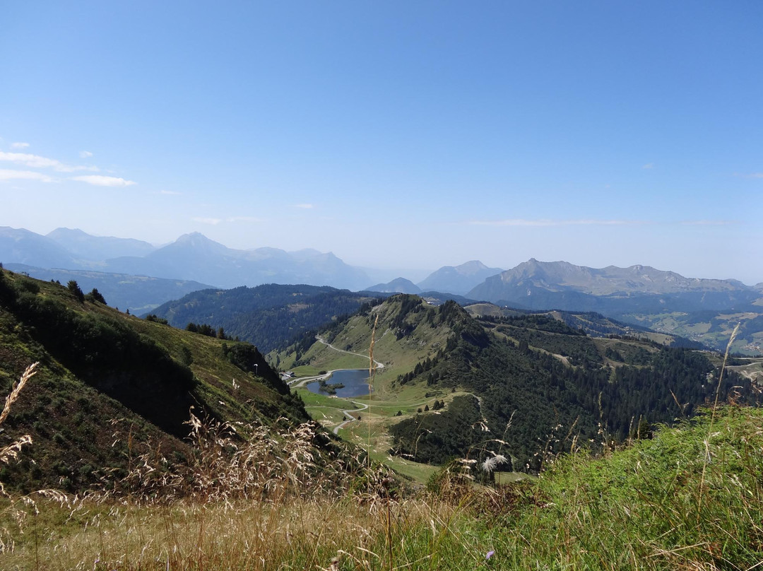 Lac de Joux Plane景点图片