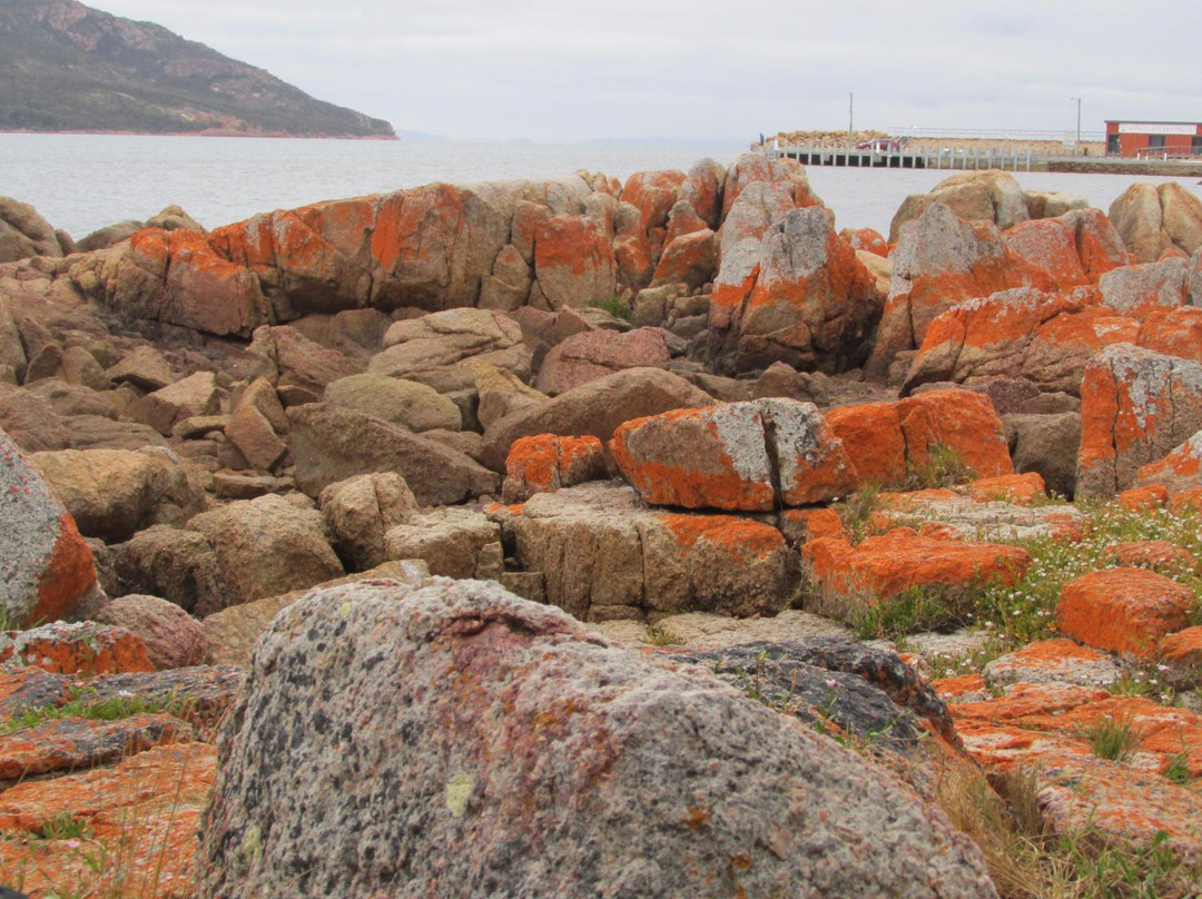 Pennicotts Wilderness Journeys Freycinet景点图片